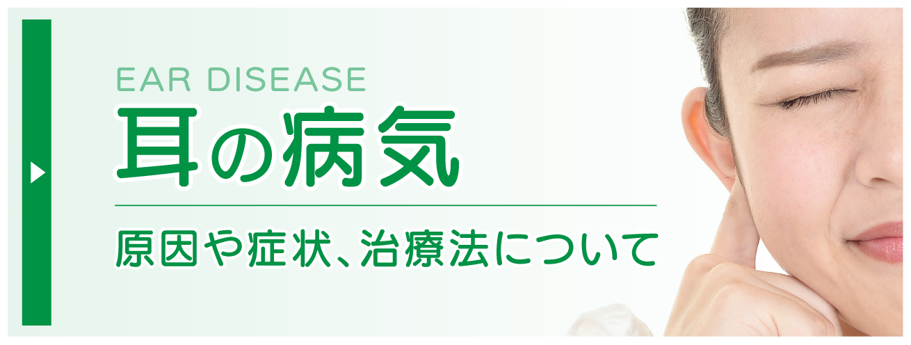 aun44_耳